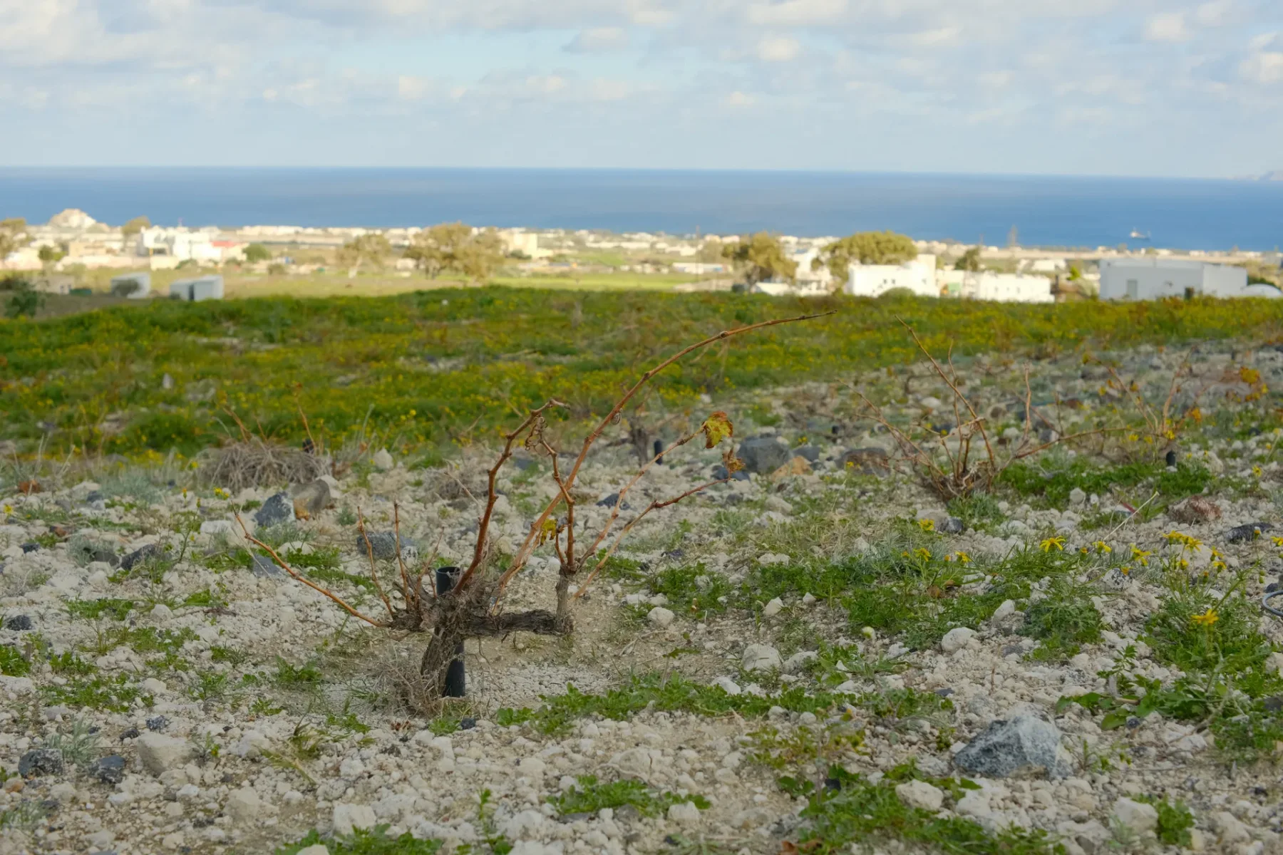 Agios Prokopios · photograph 2