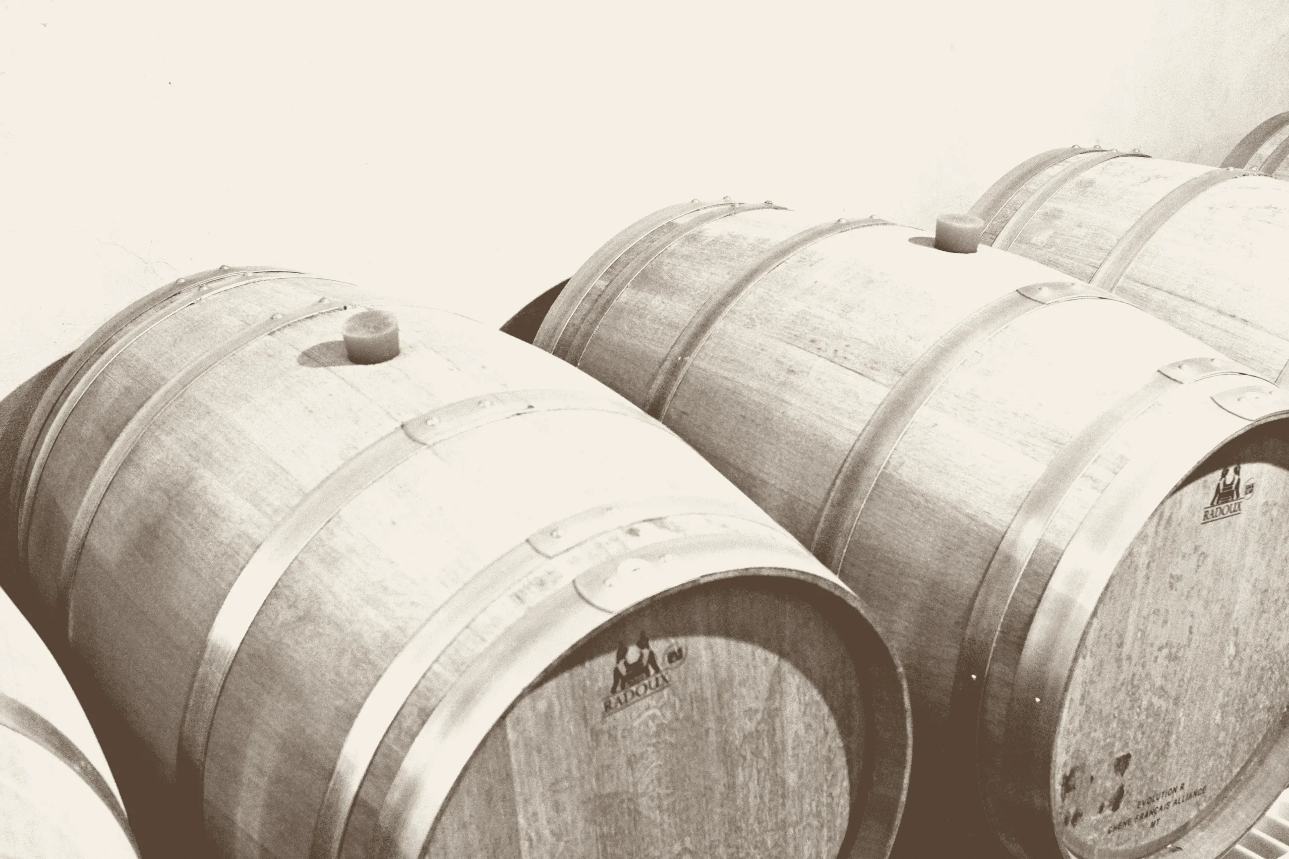 Oak barrels resting in the Kalliston canava